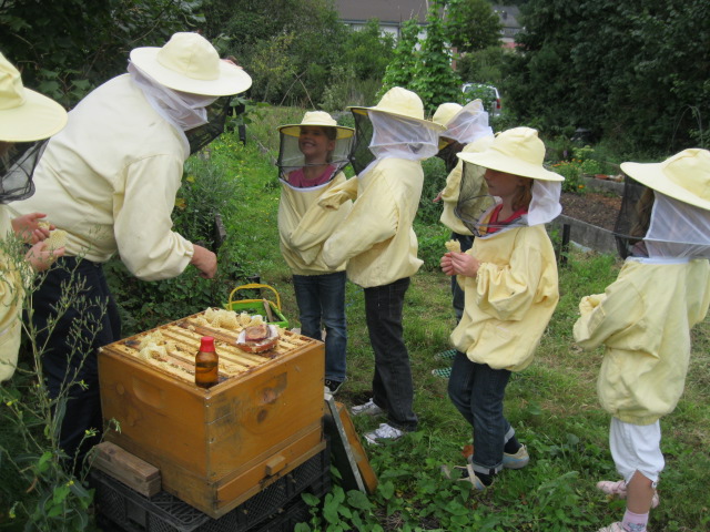 Bienenworkshop für Kinder im Grundschulalter