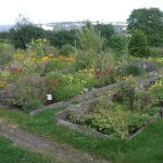 Blick über die Beete